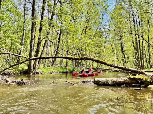 My first time in kayak 